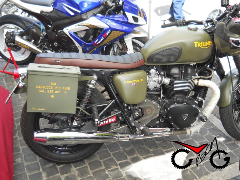 sella triumph booneville.-.